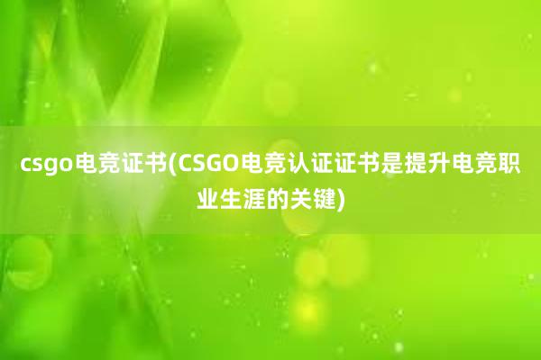 csgo电竞证书(CSGO电竞认证证书是提升电竞职业生涯的关键)