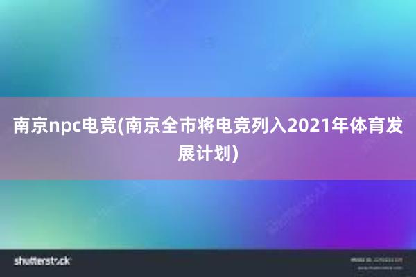 南京npc电竞(南京全市将电竞列入2021年体育发展计划)