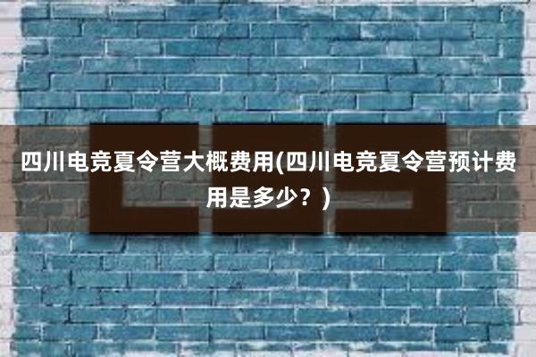 四川电竞夏令营大概费用(四川电竞夏令营预计费用是多少？)