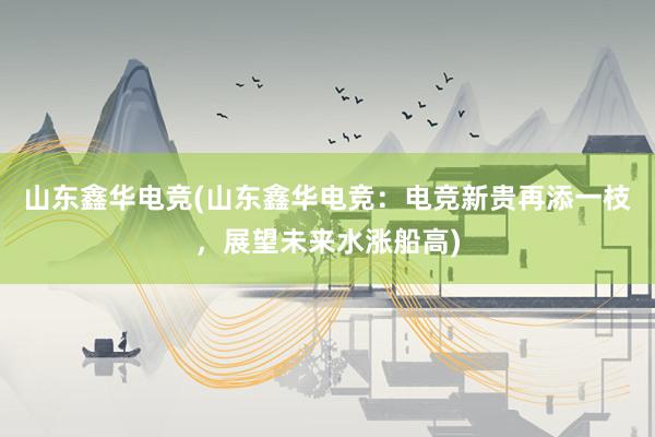 山东鑫华电竞(山东鑫华电竞：电竞新贵再添一枝，展望未来水涨船高)