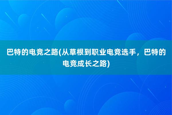 巴特的电竞之路(从草根到职业电竞选手，巴特的电竞成长之路)