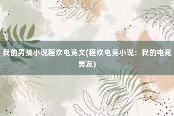 我的男孩小说程欢电竞文(程欢电竞小说：我的电竞男友)