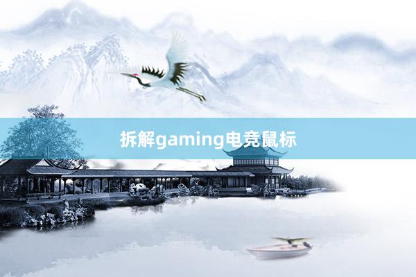 拆解gaming电竞鼠标