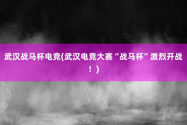 武汉战马杯电竞(武汉电竞大赛“战马杯”激烈开战！)