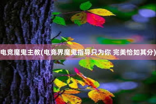 电竞魔鬼主教(电竞界魔鬼指导只为你 完美恰如其分)