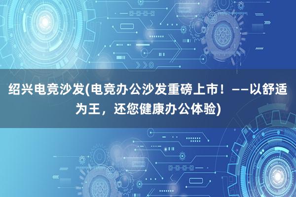 绍兴电竞沙发(电竞办公沙发重磅上市！——以舒适为王，还您健康办公体验)