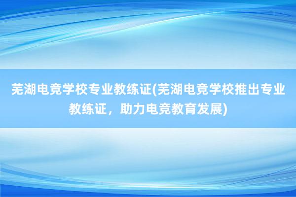 芜湖电竞学校专业教练证(芜湖电竞学校推出专业教练证，助力电竞教育发展)