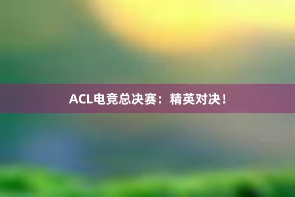 ACL电竞总决赛：精英对决！