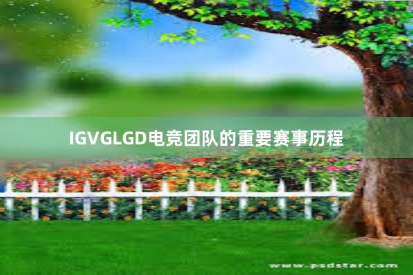 IGVGLGD电竞团队的重要赛事历程