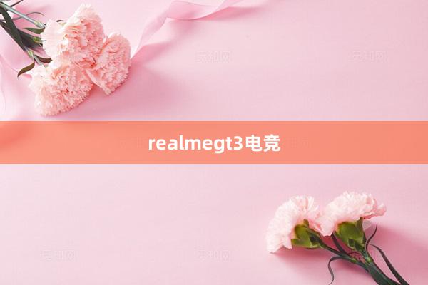 realmegt3电竞