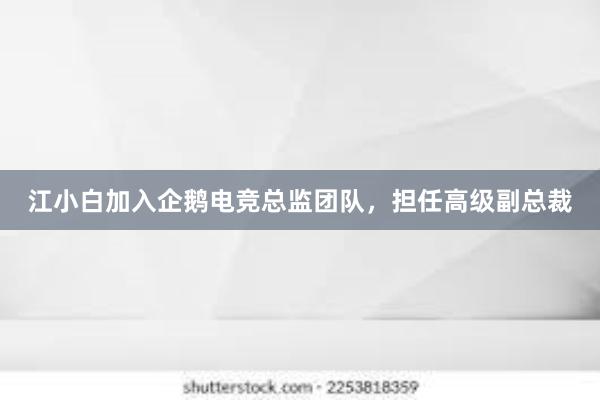 江小白加入企鹅电竞总监团队，担任高级副总裁