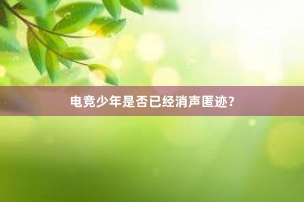 电竞少年是否已经消声匿迹？