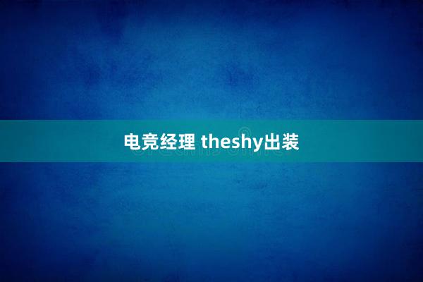 电竞经理 theshy出装