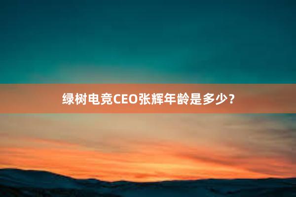 绿树电竞CEO张辉年龄是多少？