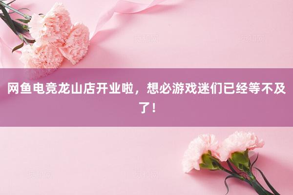 网鱼电竞龙山店开业啦，想必游戏迷们已经等不及了！